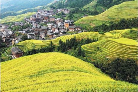 Terraced fields offer more than grains of hope