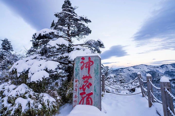 Shennongjia forest resembles fairyland after snowfall