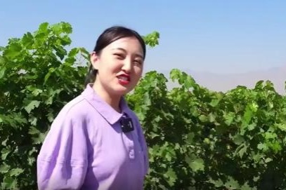 Wine culture draws tourism to Ningxia
