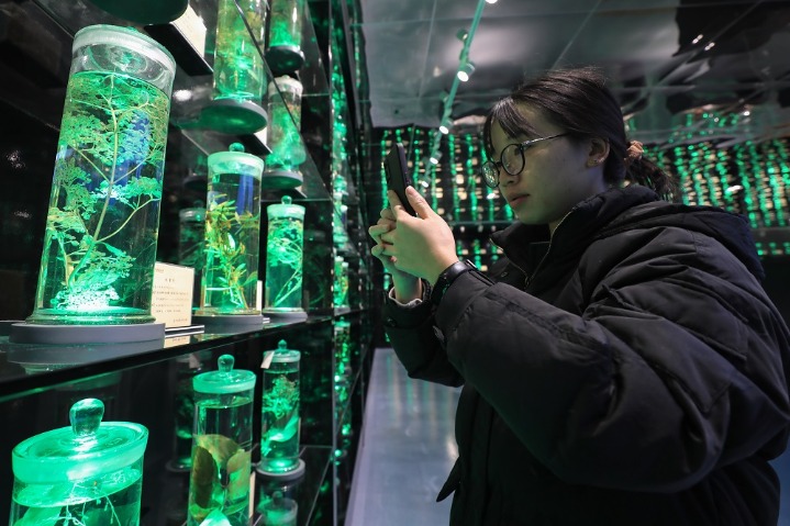 Museum highlights folk medicine in SW China