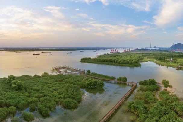 Chinese courts conclude over 700,000 environmental, resource cases in past 3 years