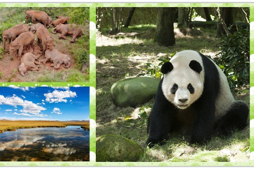 Year-ender: China’s achievements in ecological protection in 2021