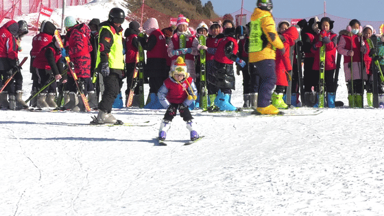 Hundreds of primary school students try skiing