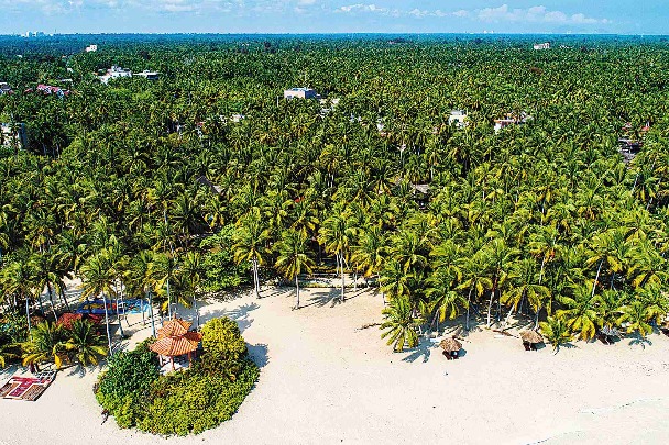 China's island province expands coconut business