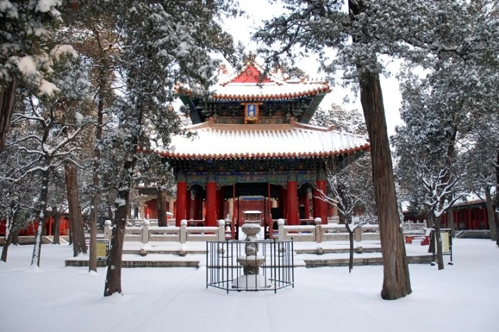 'Three Confucian Sites' burst into vibrant colors during winter