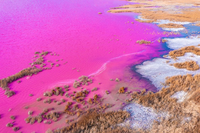 Salt lake turns pink in N China