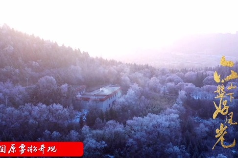 Rime scenery in China's Ningxia is like Frozen