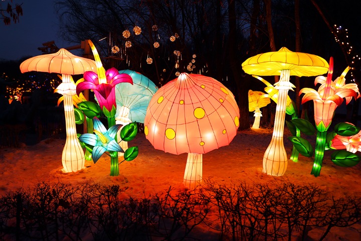 Lantern fair kicks off in Xinjiang