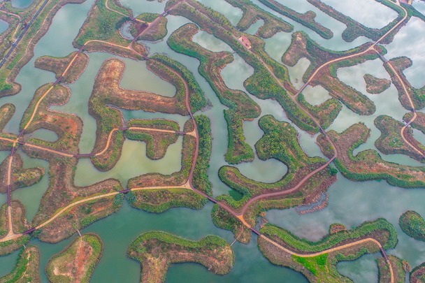 Fish pond turns into wetland park in Hainan