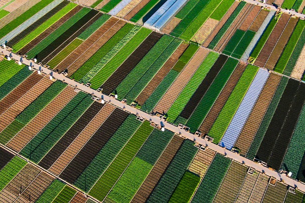 Vast fields resemble eye shadow palette