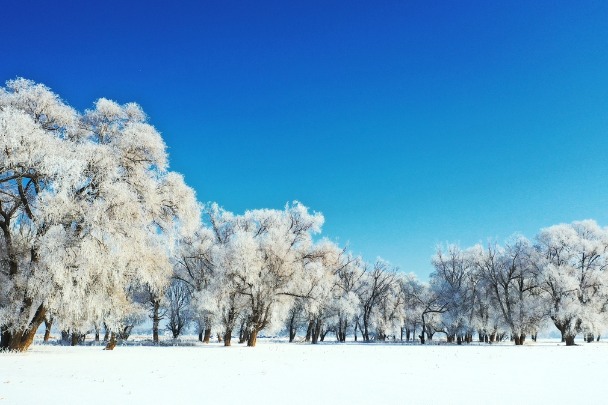 Rime showcases picturesque scenery in N China