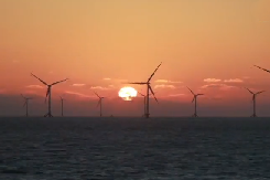 Check out development of China's offshore wind power industry