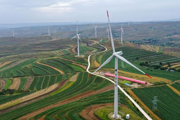 China fulfills green goals in 2021: official