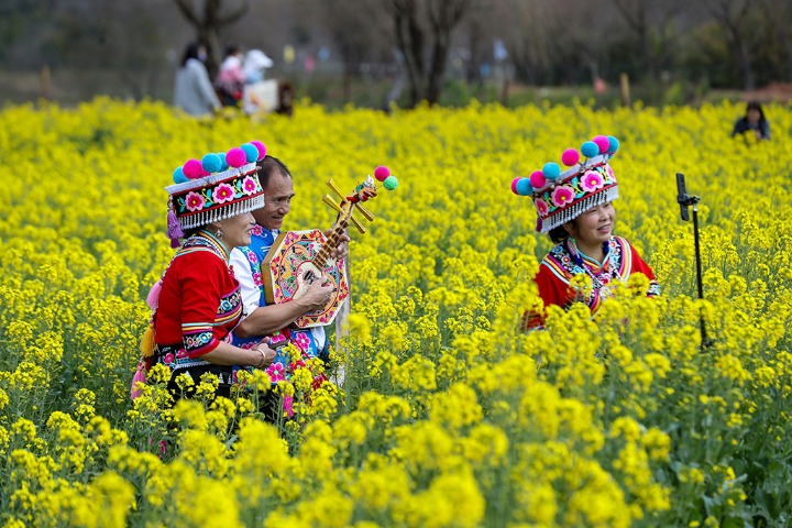 Blooming rapeseed flowers signal spring in SW China
