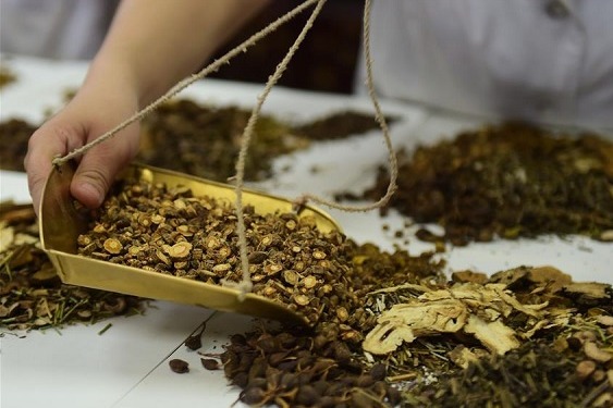 Online lectures on traditional Chinese medicine launched in Malta