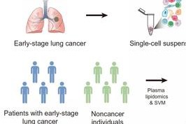 Chinese scientists develop AI-assisted tool to detect early-stage lung cancer
