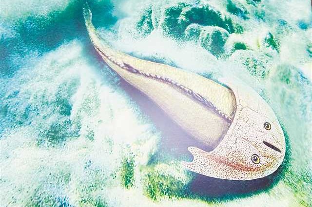 Over 400-mln-yr-old fossil of fish found in China