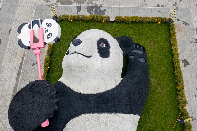 Giant panda taking selfie a tourist draw