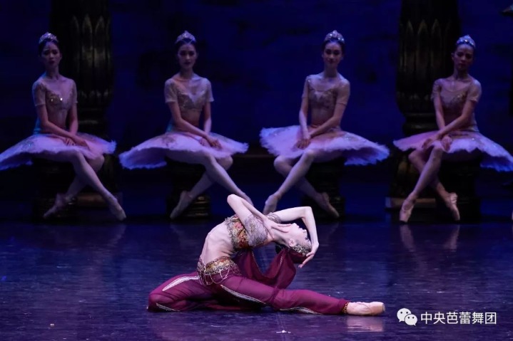 Promising dancer promoted to prima ballerina