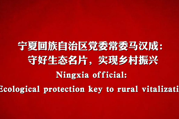 Ningxia official: Ecological protection key to rural vitalization