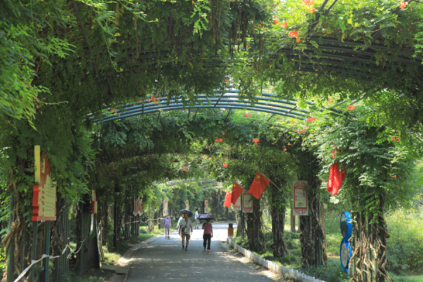 Wuxi named provincial ecological garden city