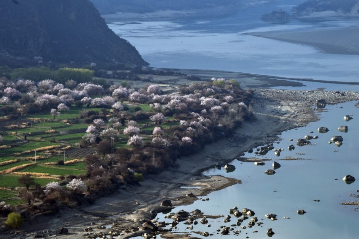 Academician wants national park built in Tibet