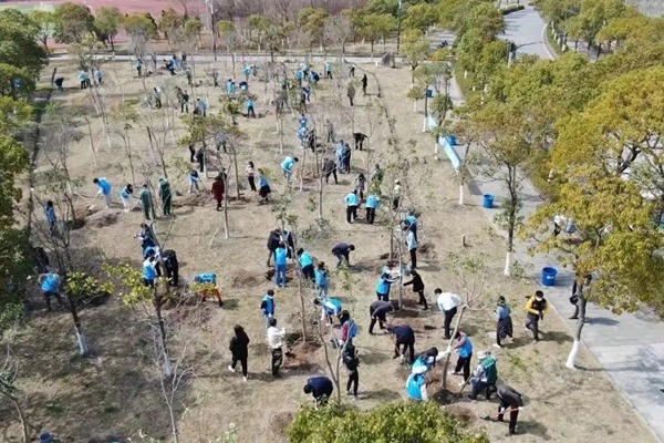 International students plant trees in Shanghai