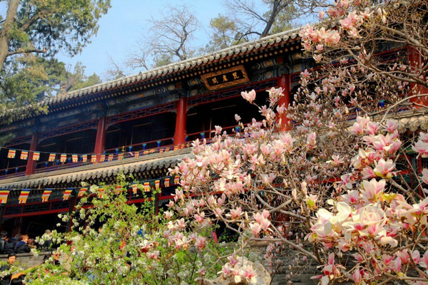 Western Beijing district launches spring routes