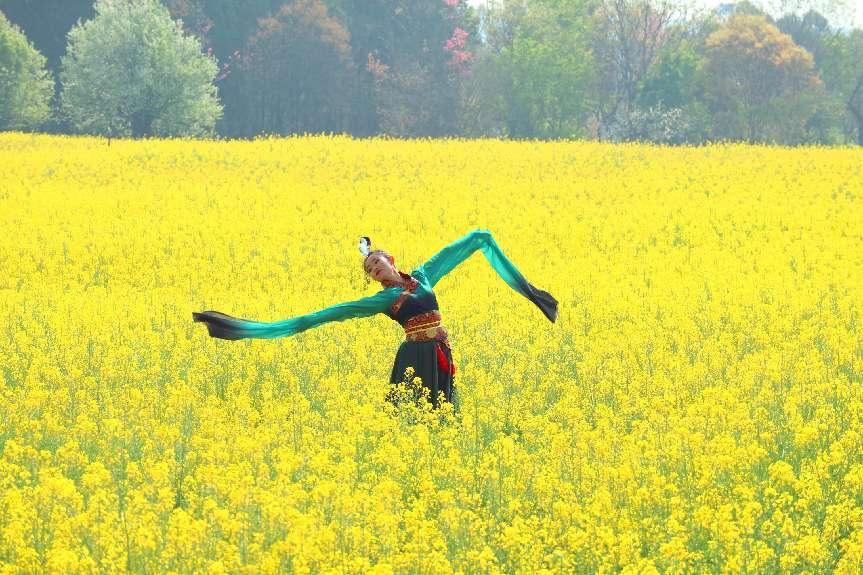 Tourist dances amid sea of colorful flowers in Yunnan