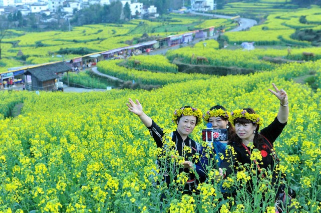 Local travel becomes major choice during Qingming Festival