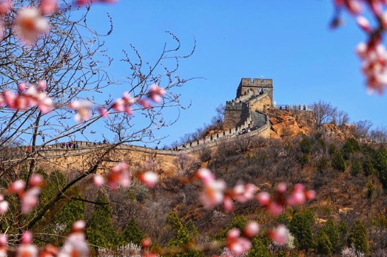 Great Wall holds a collage of scenery
