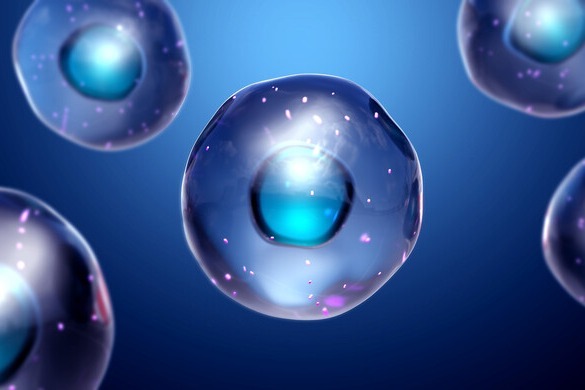 Chinese scientists create human stem cells by dint of chemicals