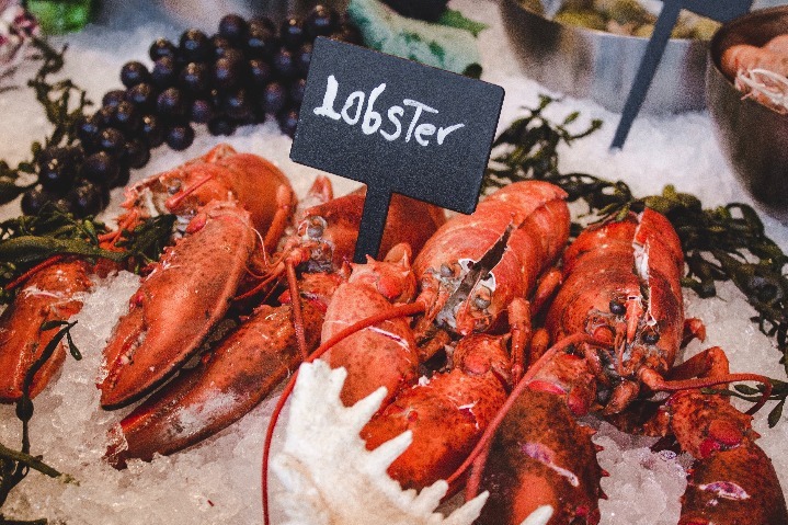 New Zealand's lobster export benefits from upgraded FTA with China despite COVID-19