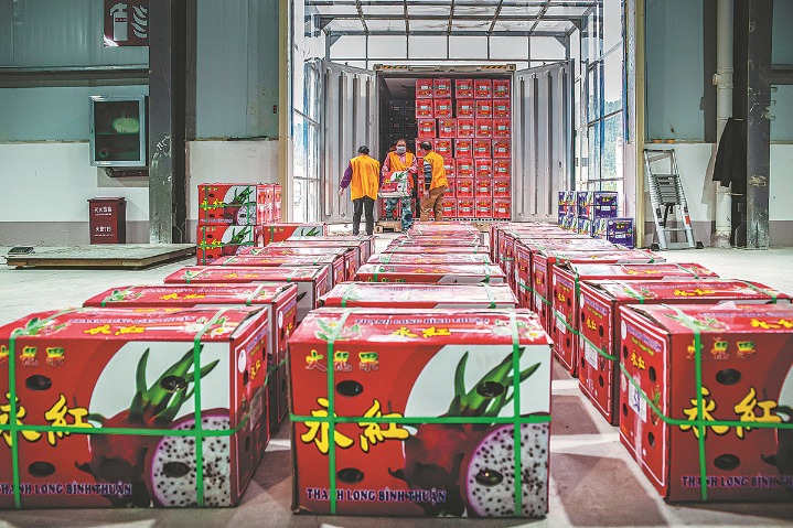 Vietnamese dragon fruit imports roar to life