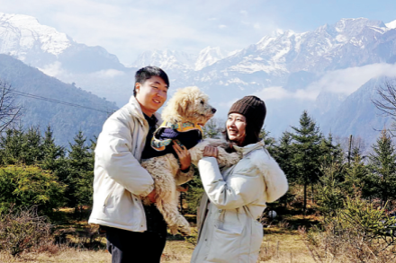 Pet travel sector clawing back revenue lost from pandemic