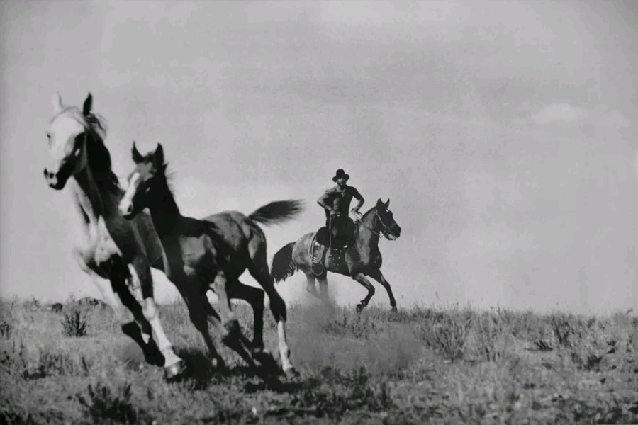 Photo exhibit in Qingdao features the horsemen of Uruguay