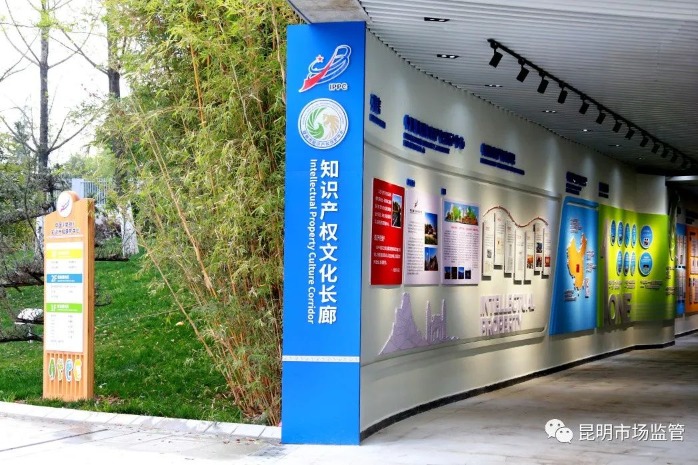 Southwest China’s first IP protection center passes acceptance