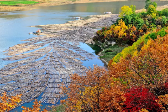 Timber rafts preserve ancient tradition in Jilin