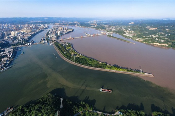 Chongqing solves case of waste dumping