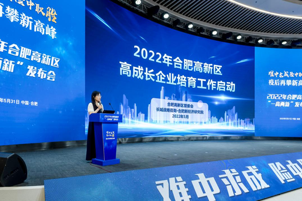 Hefei high-tech zone unveils new layout for further development