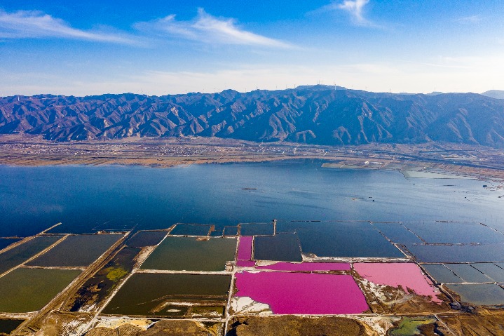 Salt Lake blooms with color as summer nears in North China