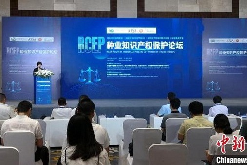 Sanya, RECP countries cooperate in seed industry IP protection