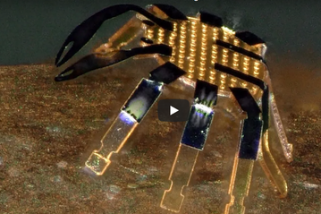 Scientists design crab-like micro-bots steered by laser