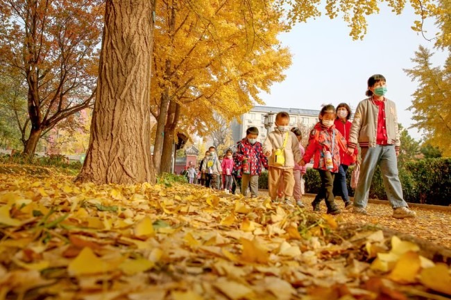 Beijing parks use scientific management to enhance diversity and beauty