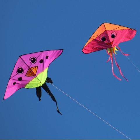 Colorful kites help  industry, nation soar