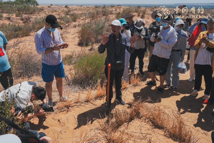Novel method for desert control keeps sandstorms in check