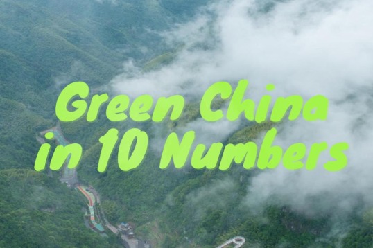 Green China in 10 numbers
