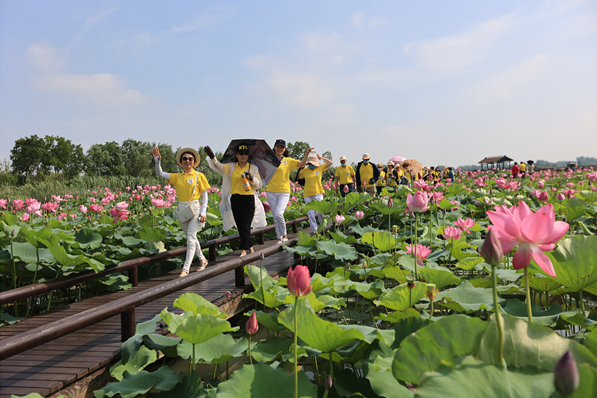 Yangzhou unveils five rural tourism routes