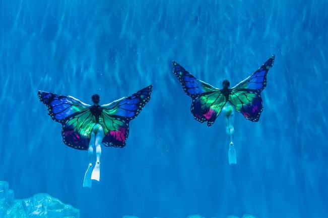 Underwater ballet: Beauty in the depths