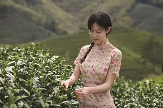 Yangzhou hosts green tea tasting event